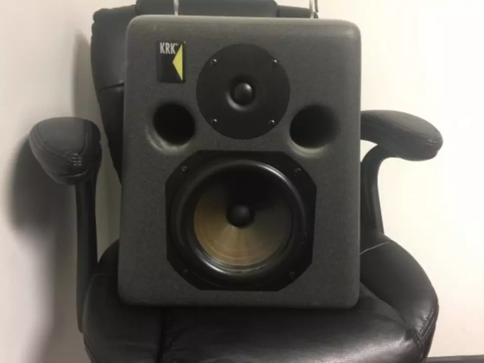 Watch The Moose Morning Show Get a Bumble Bee Out of Their Speaker!