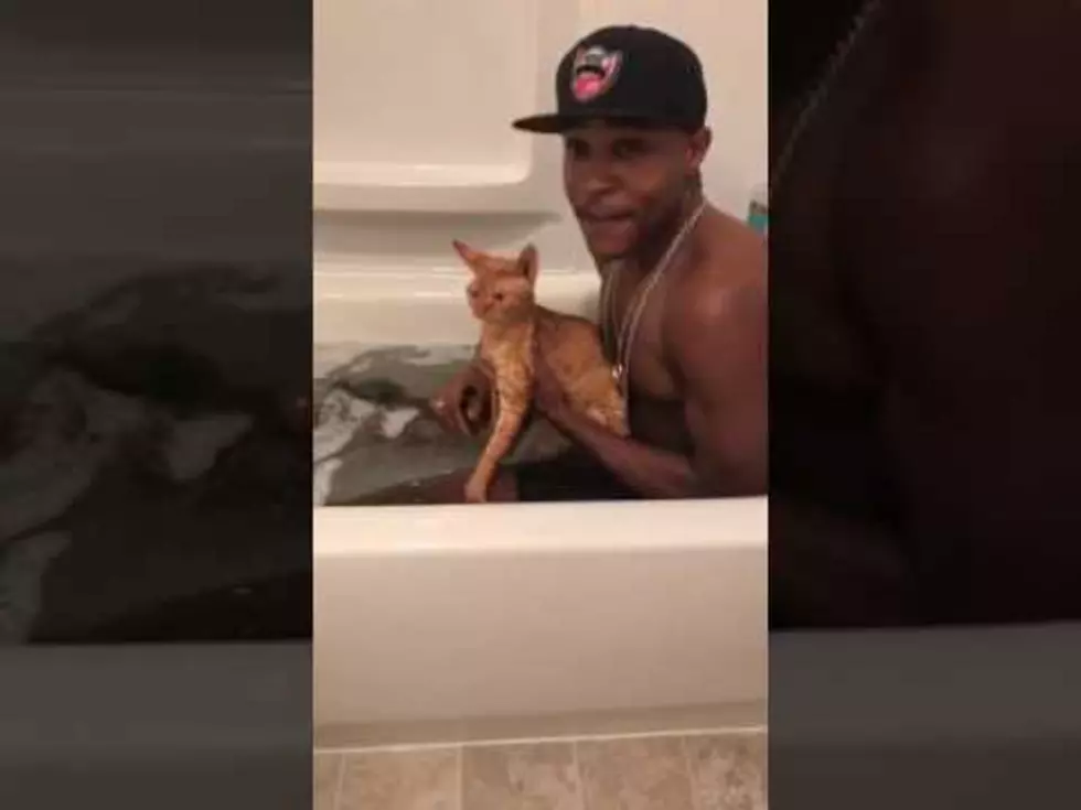 'M$HO The Cat Rapper'  Makes Renee Glad There is an Internet