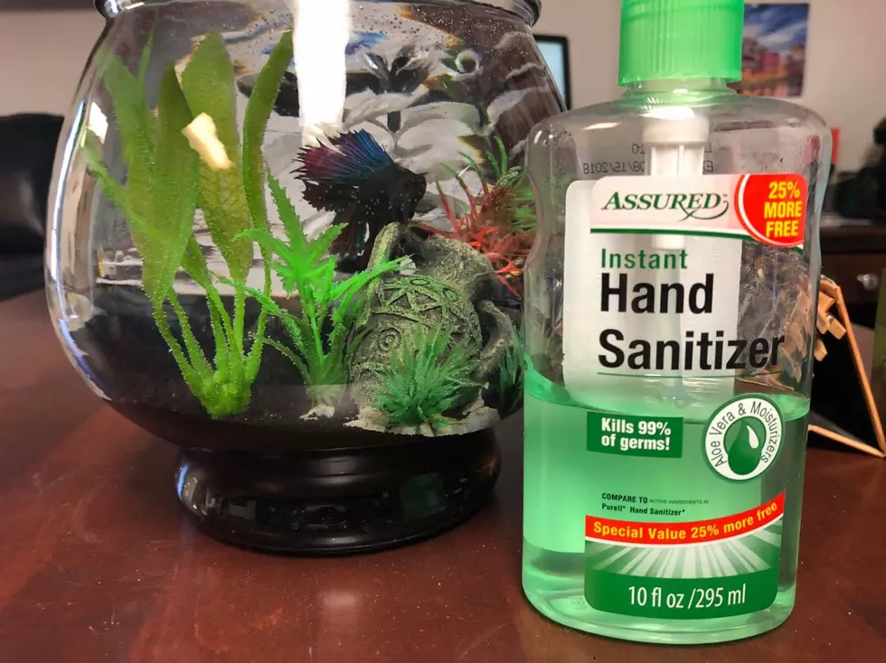 How We Accidentally Cleaned The &#8216;Office Fish&#8217;