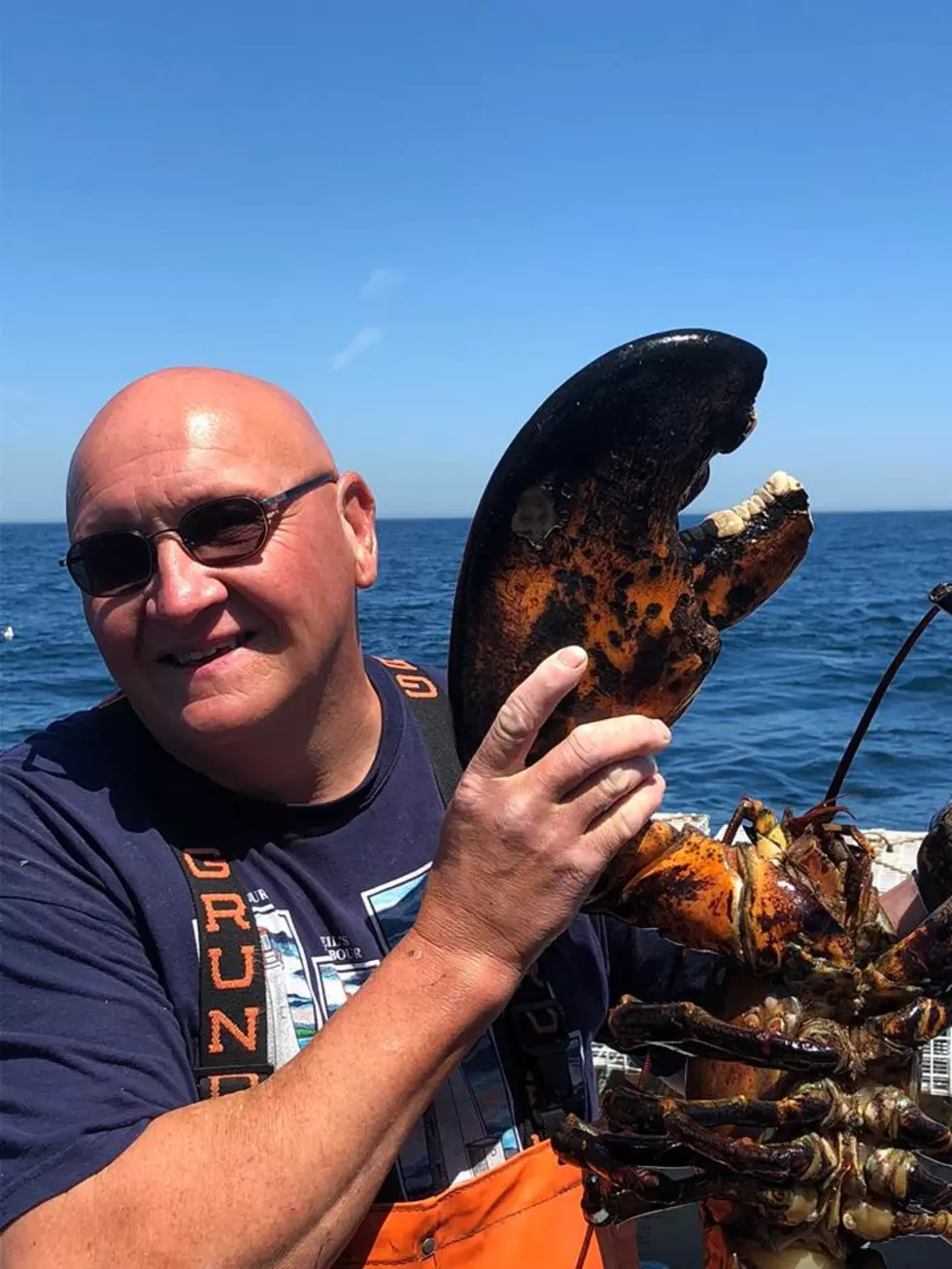 MASSIVE Lobster Caught Off The Coast Of Phippsburg