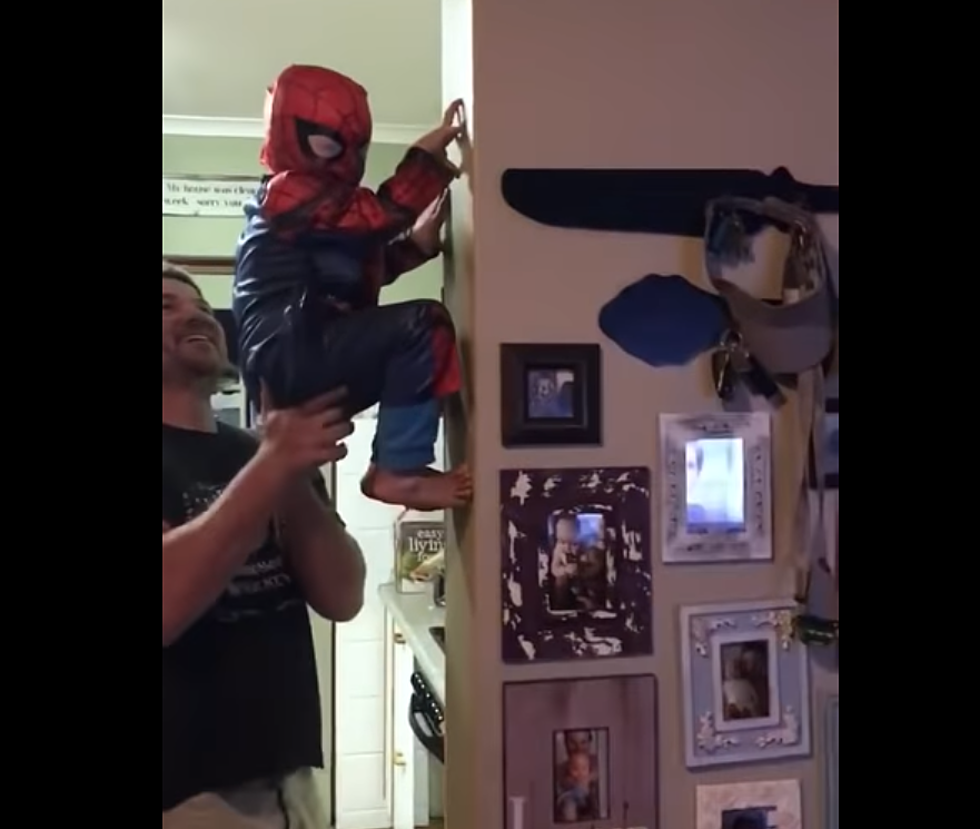 Dad Helps Son Become Spider-Man!