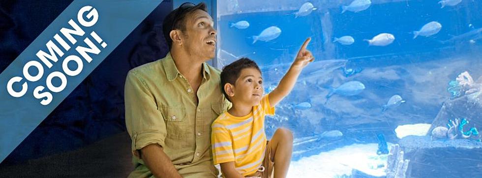 Storyland Sets Opening Date For New Aquarium