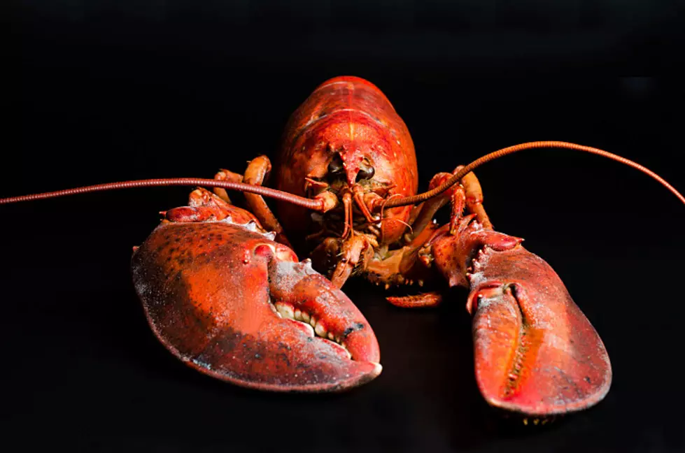 A Boothbay Company Is Making Lobster Scented Candles
