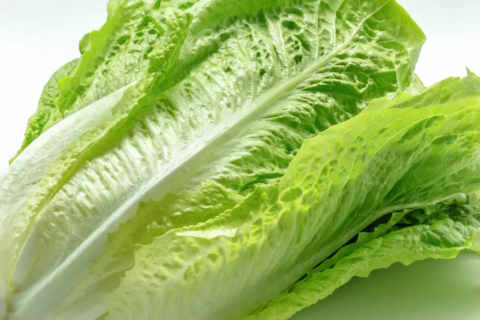 Throw It Away: CDC Says Romaine Lettuce Not Safe To Eat
