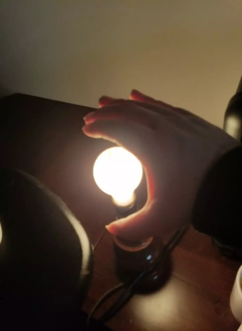 It's Not A Good Idea To Touch Hot Light Bulbs