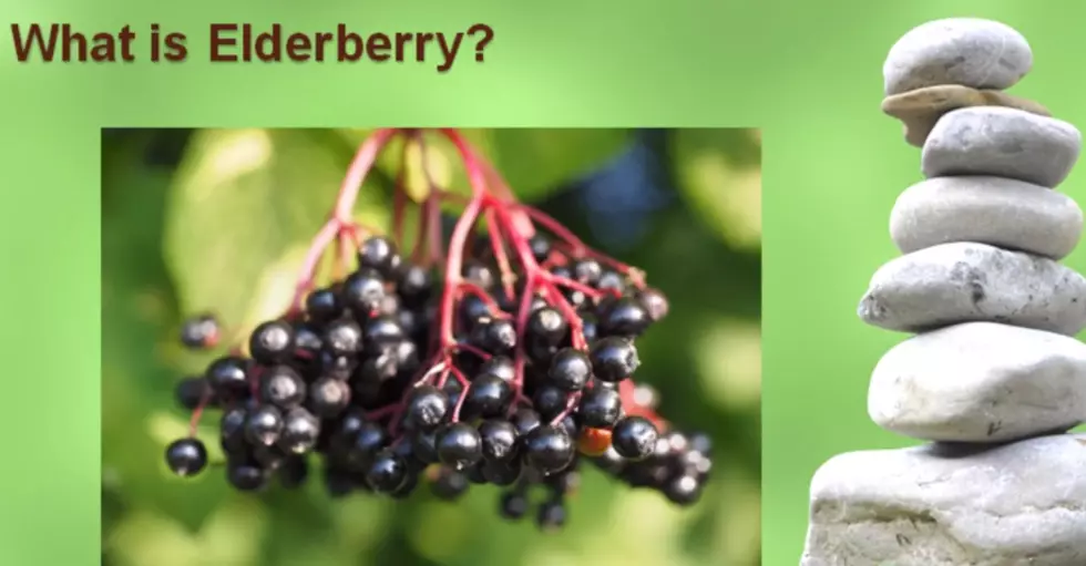Does Elderberry Syrup Work?