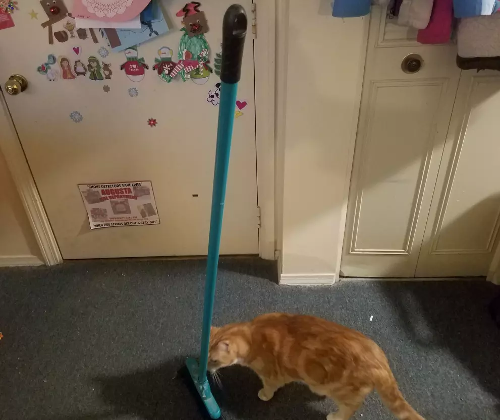 broom standing up by itself