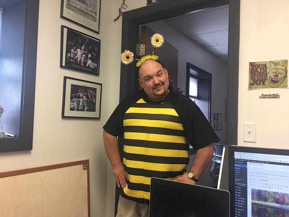 Renee Shares Bee Fun Facts with Matt After Yellow Jacket Incident