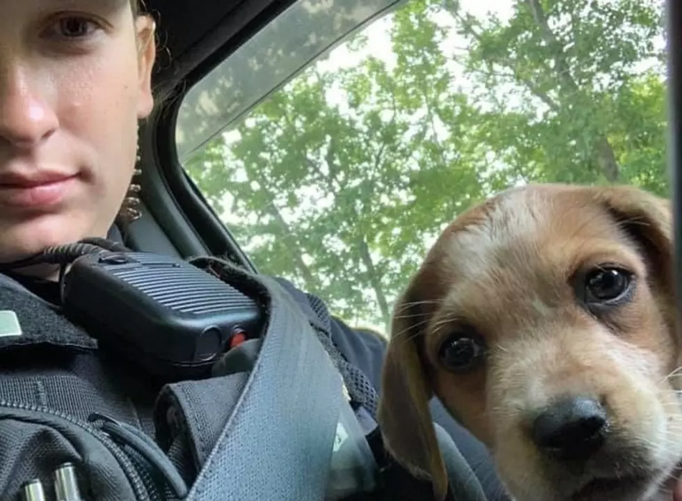 Augusta Police Officer Responds to Call, Ends up Adopting Dog