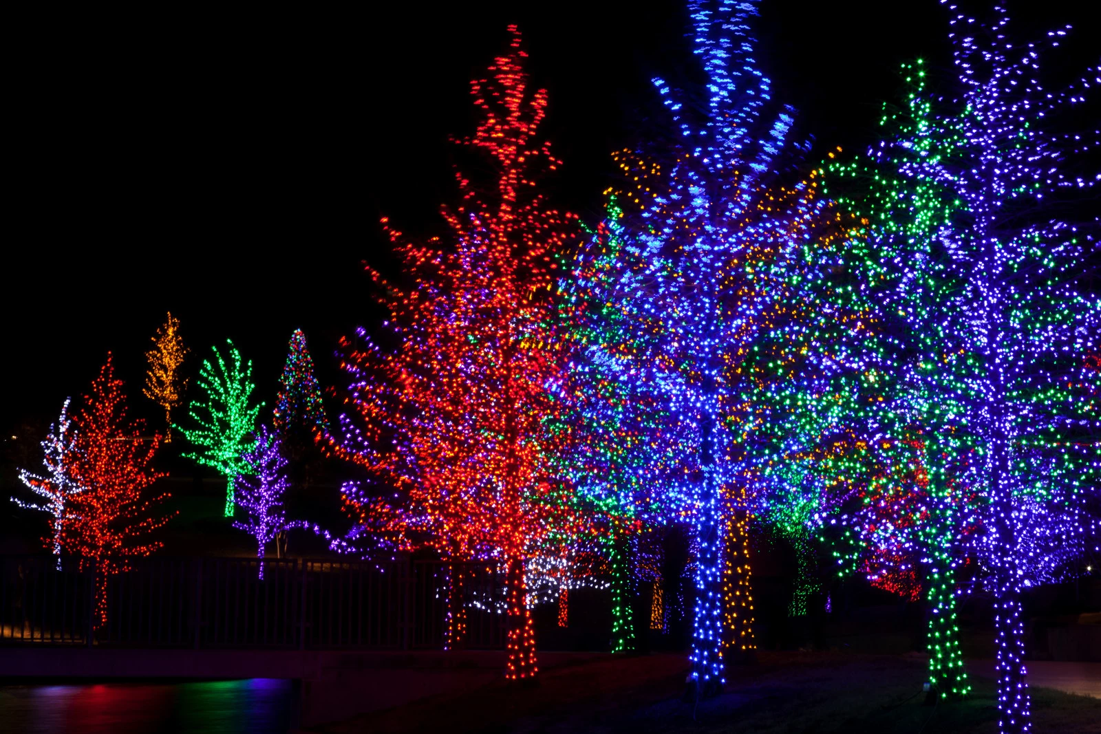 27+ Canfield Fairgrounds Christmas Lights