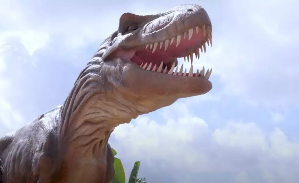 Hey Parents, The Dinosaurs Are Coming To Gillette Stadium
