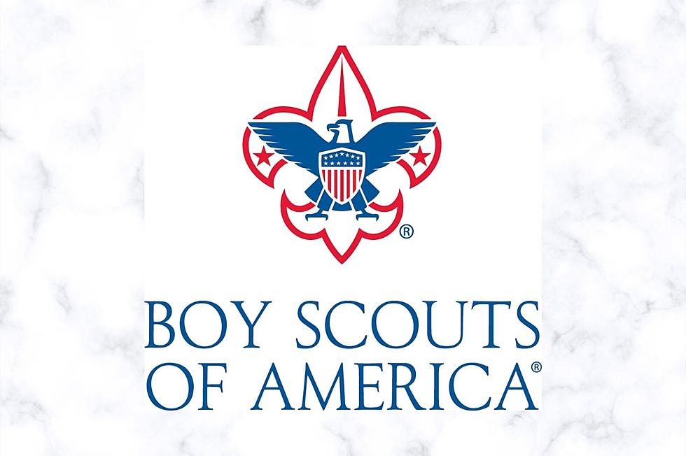 Boy Scouts of America Programs Still Going On