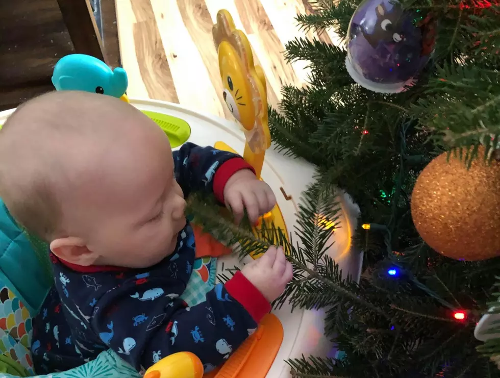 My Five Month Old Baby Ate Some of Our Christmas Tree