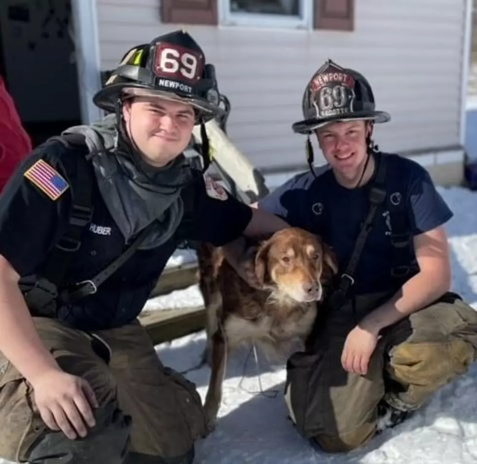 Maine Firefighters Rescue Dog From Fire