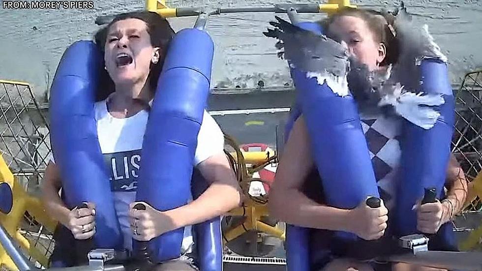 Watch This Girl Take a Seagull to The Face on The Slingshot Ride