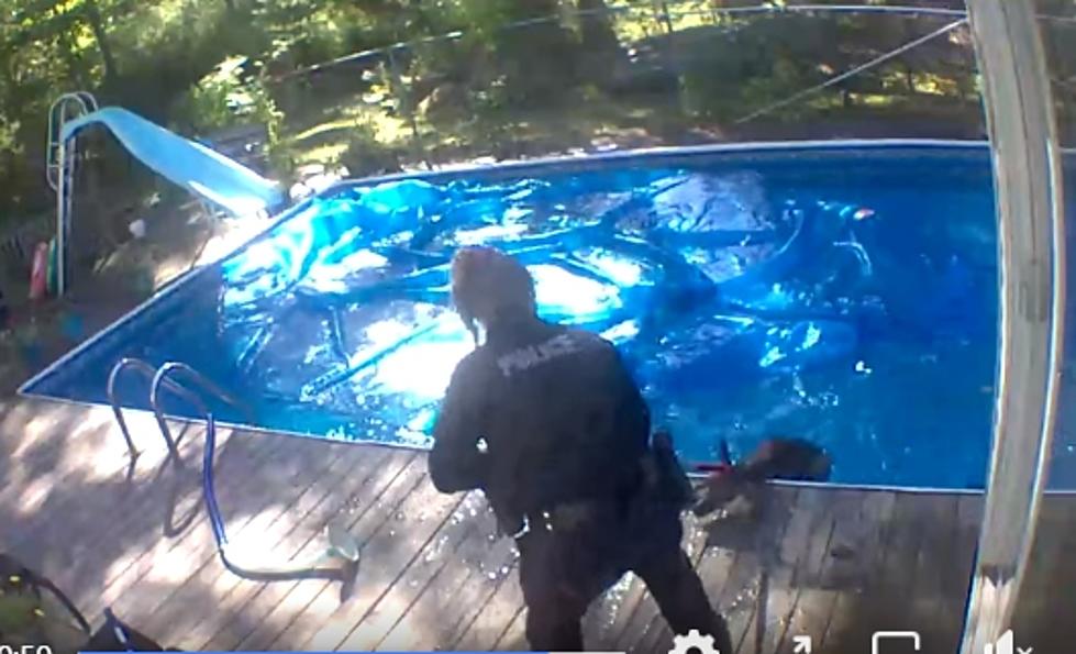 WATCH: Maine Police Rescue a Deer From In-Ground Swimming Pool