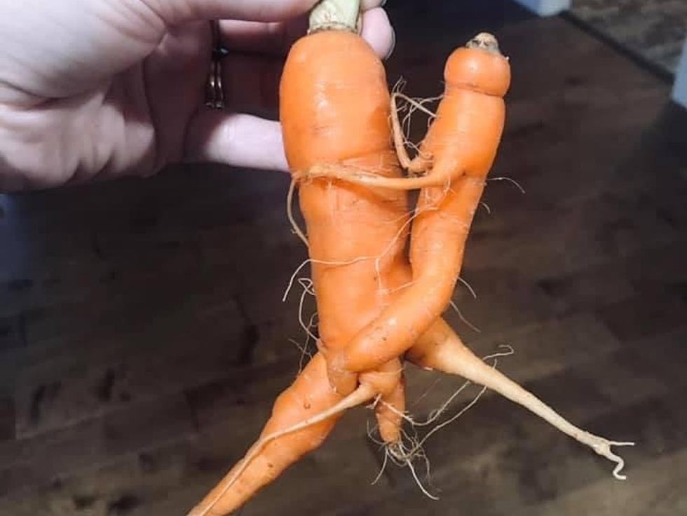 Maine Carrots Are Mother/Child Art You Didn't Know You Needed 