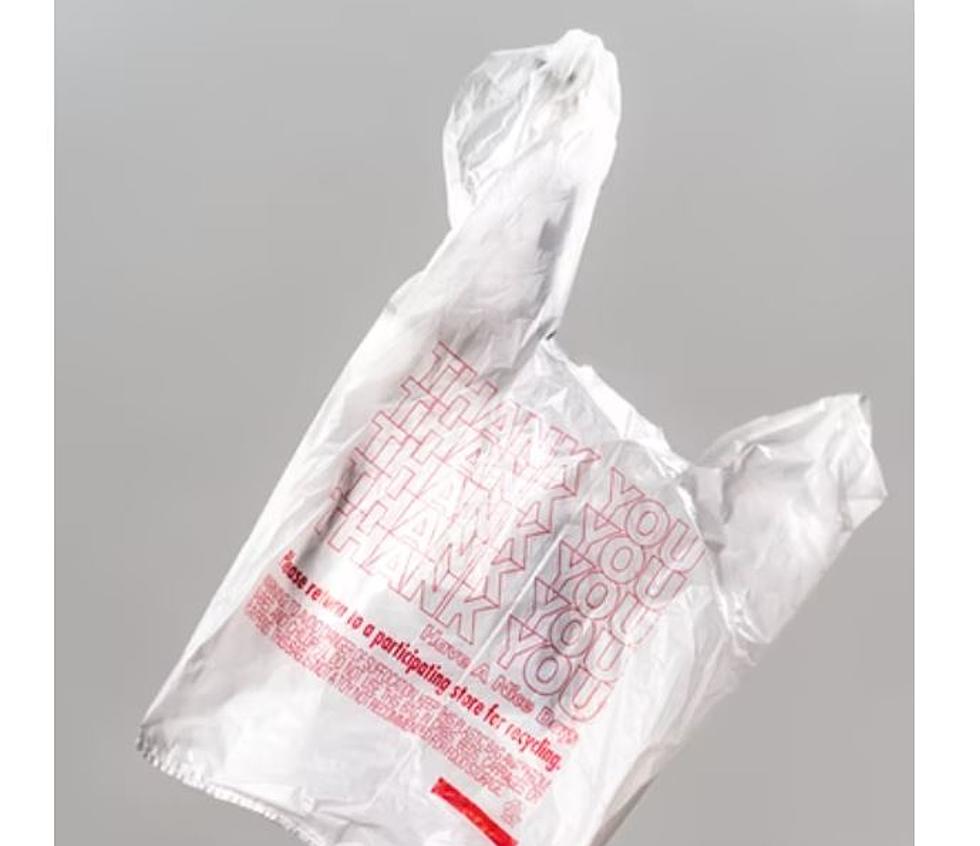 Why I Think Maine Stores Should Bring Back Disposable Bags