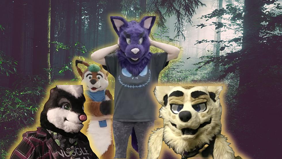 Find Out What Being A Maine "Furry" is All About