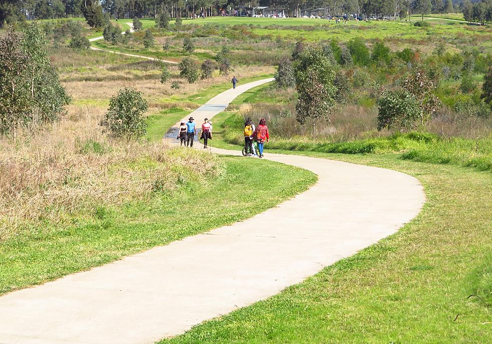 13-Year-Old Boy Sexually Assaulted on Maine Public Walking Trail Tuesday Afternoon