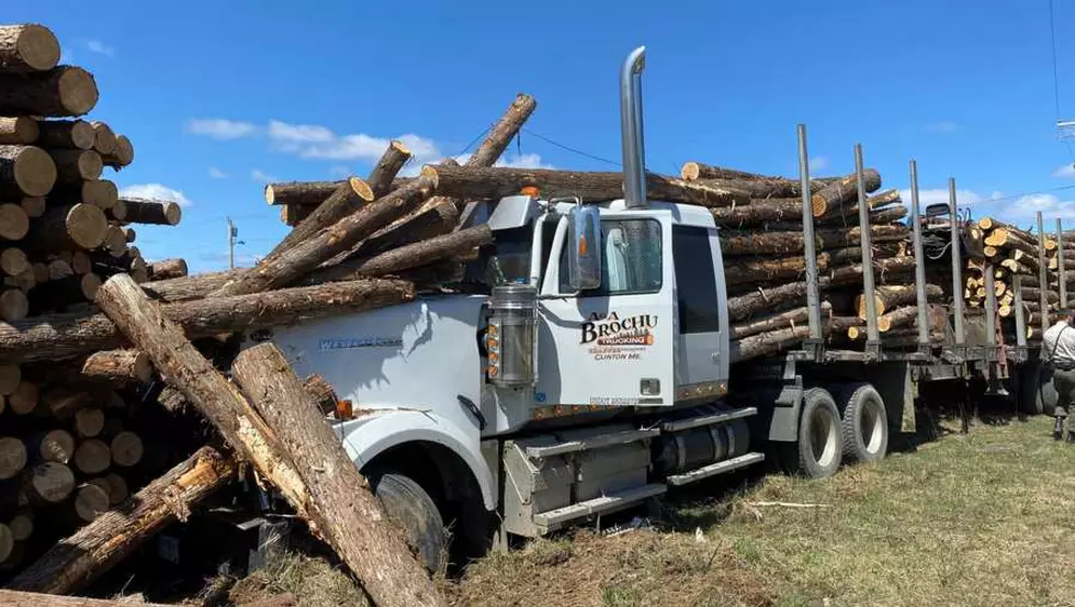 Maine Truck Driver Hauling Load of Logs Crashes into Other Logs After Reportedly Going into a Sneezing Fit
