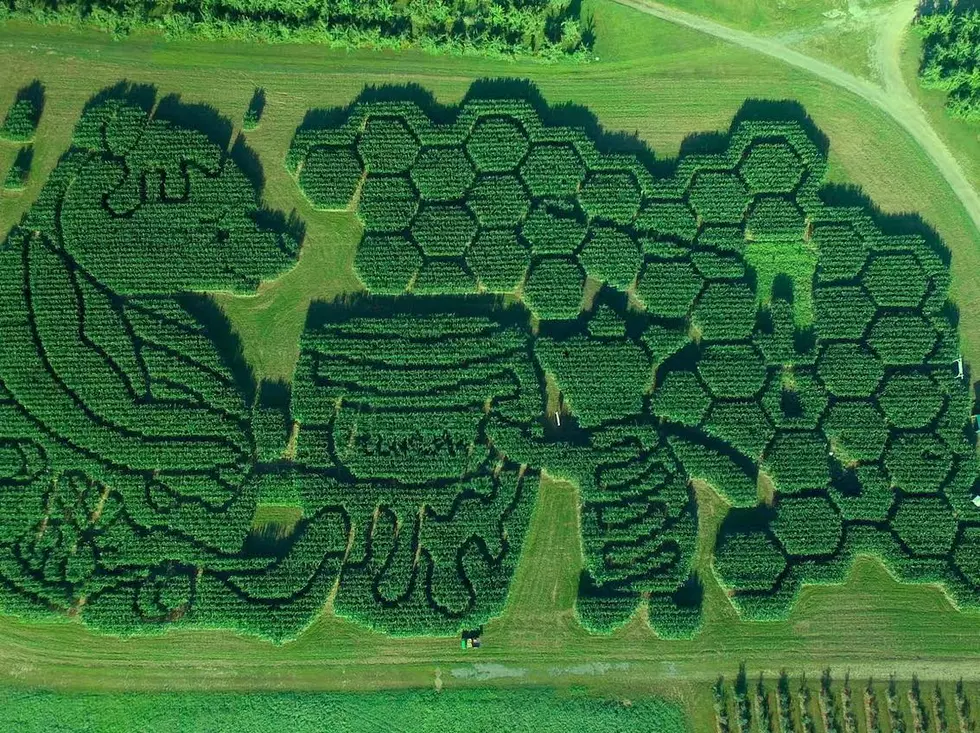 This Maine Mega-Corn Maze is Inviting Guests to Come Through at Night