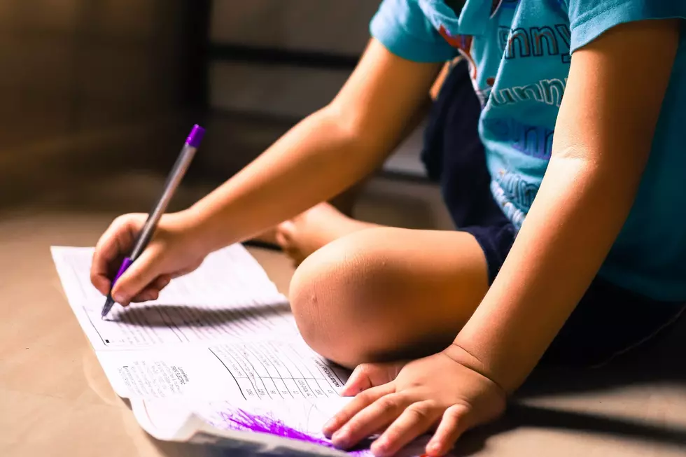 Remarkable 7-Year-Old Mainer Publishes Book He Wrote During Pandemic