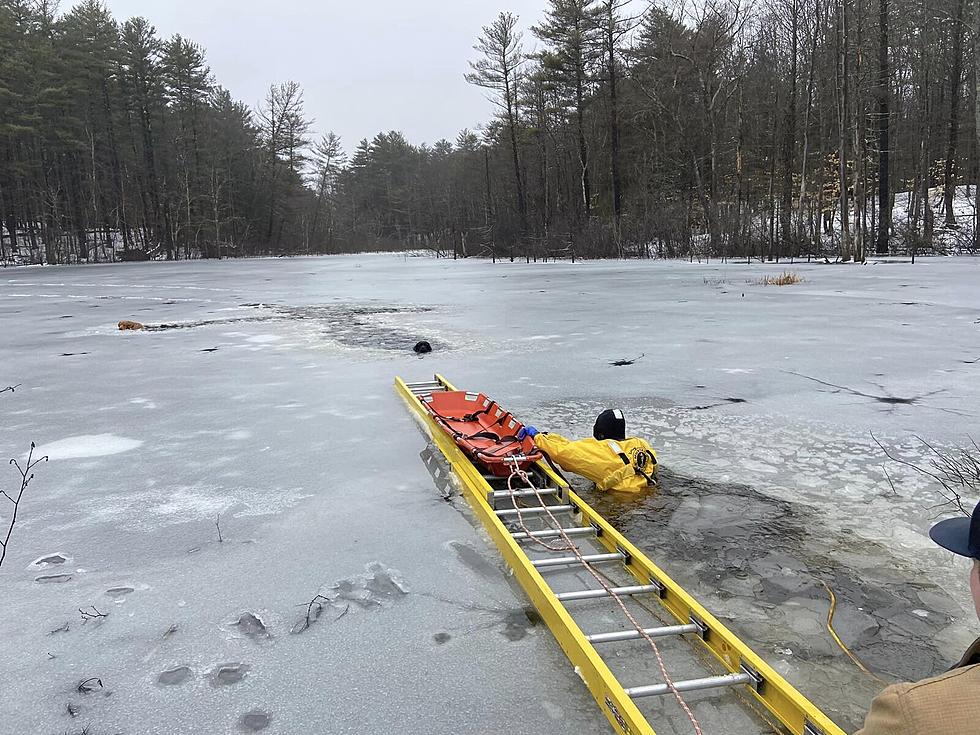 Maine Heroes Rescue Multiple Dogs From Certain Death in Freezing Cold Water
