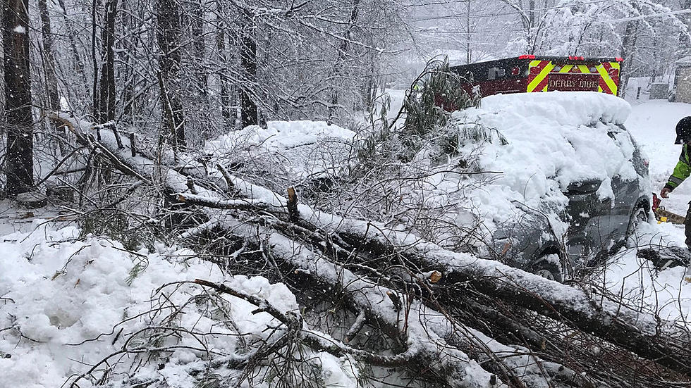16 Firefighters, Several Police Officers Rescue NH Child Pinned Under Fallen Tree During Tuesday Storm