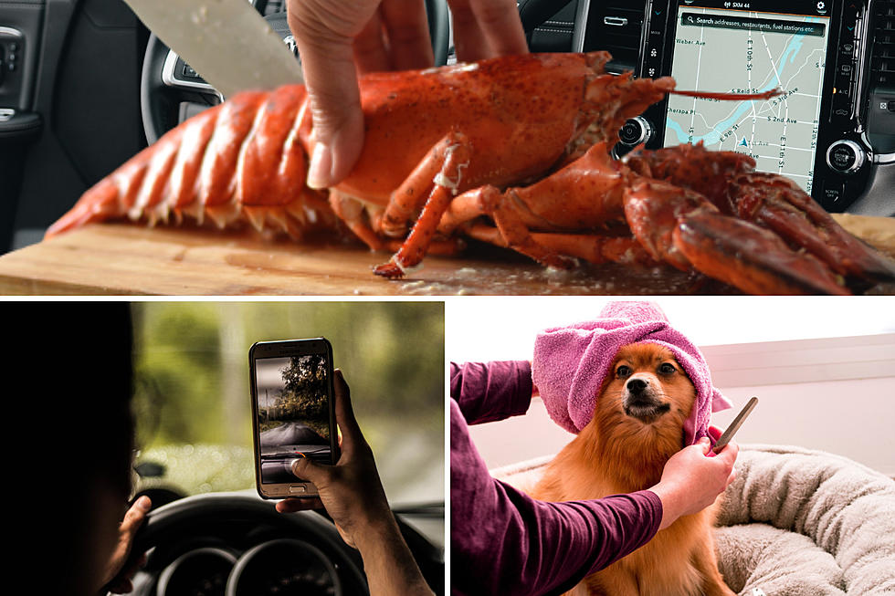 Maine Turnpike Authority Lists 7 Things Not to Do While Driving, Including Eat Lobster