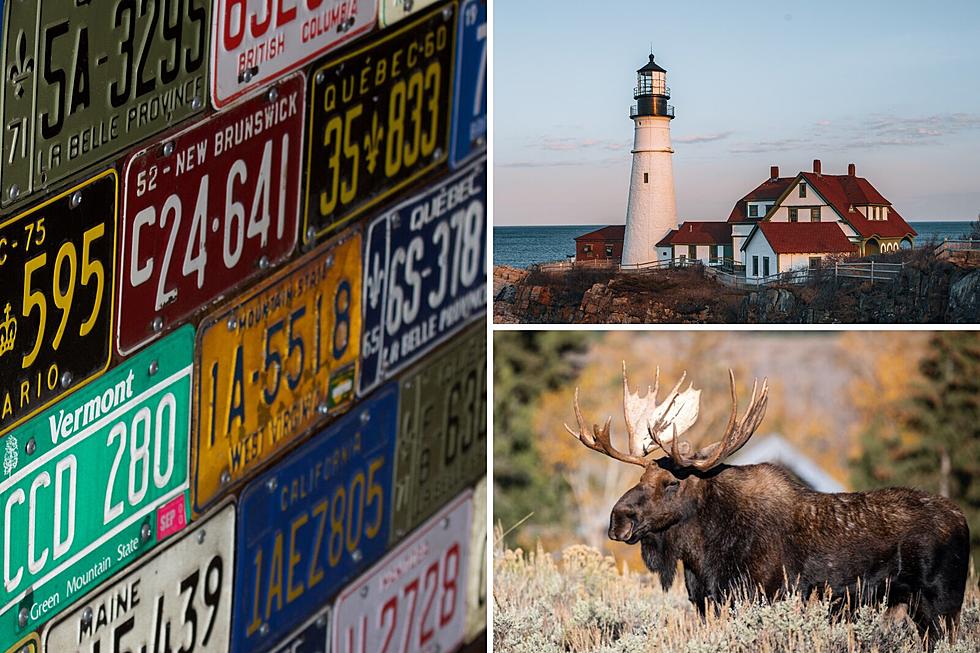 30 Things Mainers Would Put on a Maine License Plate