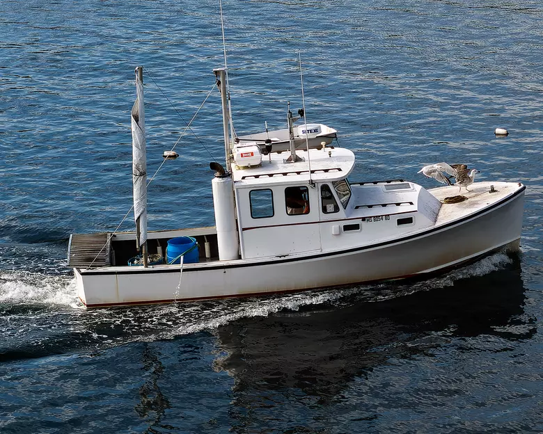 Coastal New Hampshire and Maine Fishing Report- March 9, 2023 - On The Water
