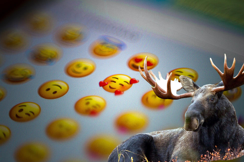 Maine Just Got Another Emoji Win: The Moose Emoji Is Coming