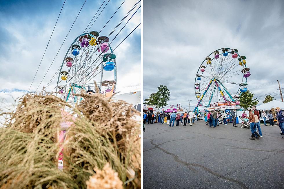 One of the Best State Fairs in the Whole US Is Located in Maine