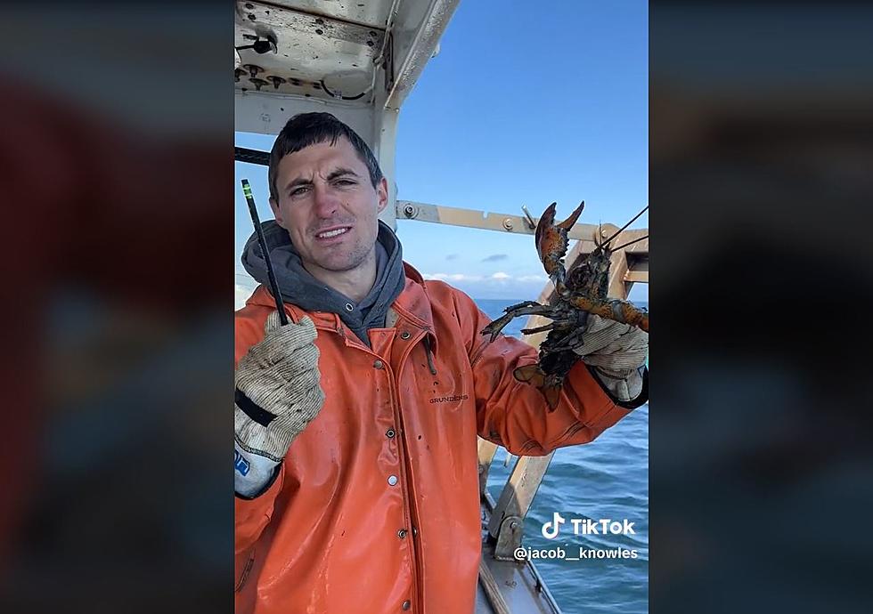 Maine Lobsterman Goes Viral on TikTok After Using The Word &#8216;Egger&#8217; in Video From His Boat