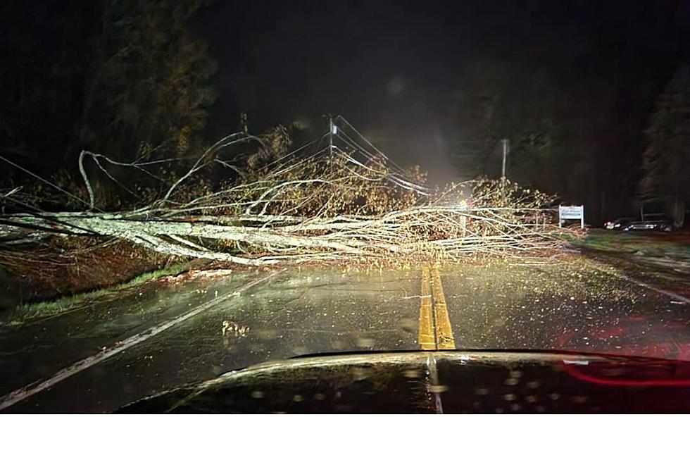 Trees Down, Roads Closed as Wind & Rain Pummel Central Maine Monday Morning