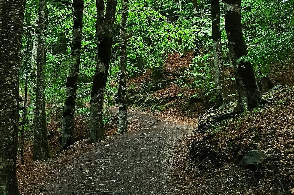 Hikers Find Human Remains in The Woods Behind a School Just Outside of Central Maine