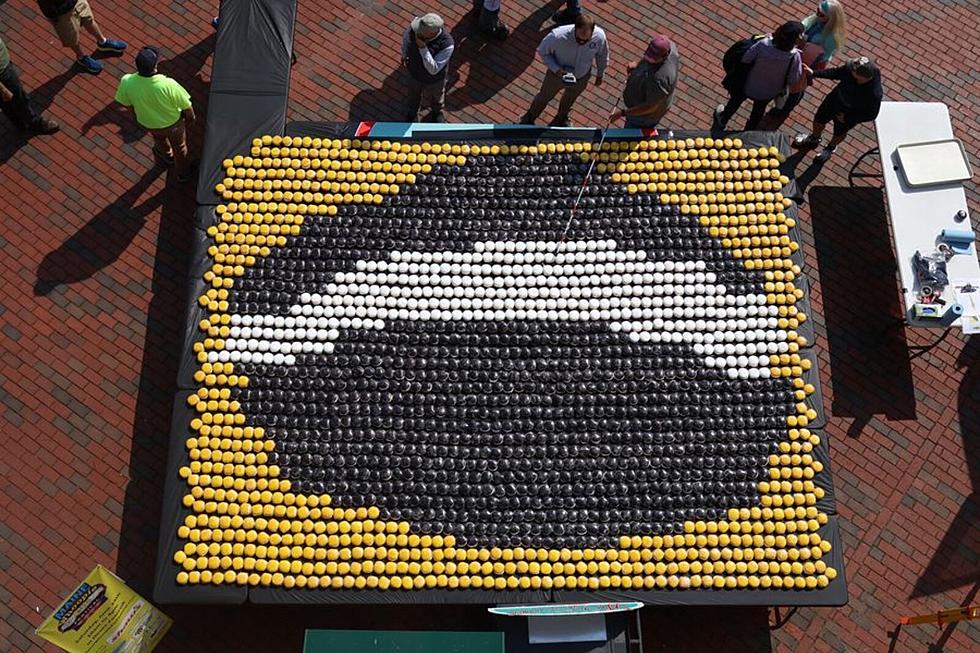 Amazing Guinness World Record Attempt: 2,129 Maine Whoopie Pies Lined Up in Portland