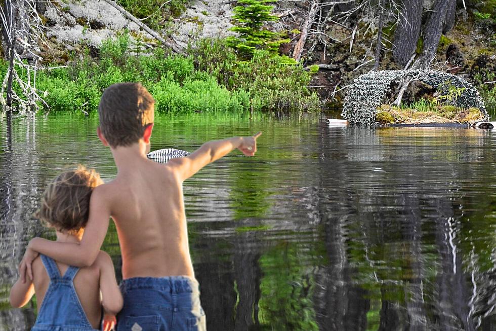 You Might Be Surprised by What These Floating Rafts Are in Maine