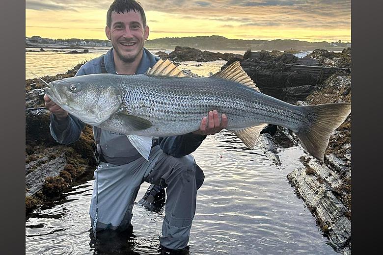 Maine Changes Rules, Regulations on Fishing Striper Striped Bass