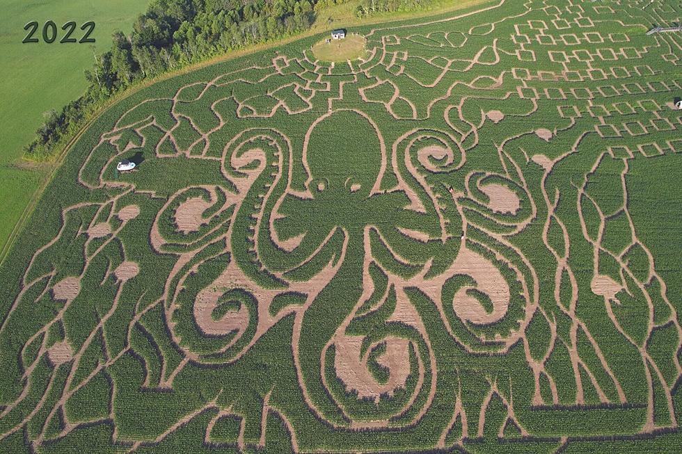 The Largest Corn Maze in New England is So Big It Takes Over 2 Hours to Complete