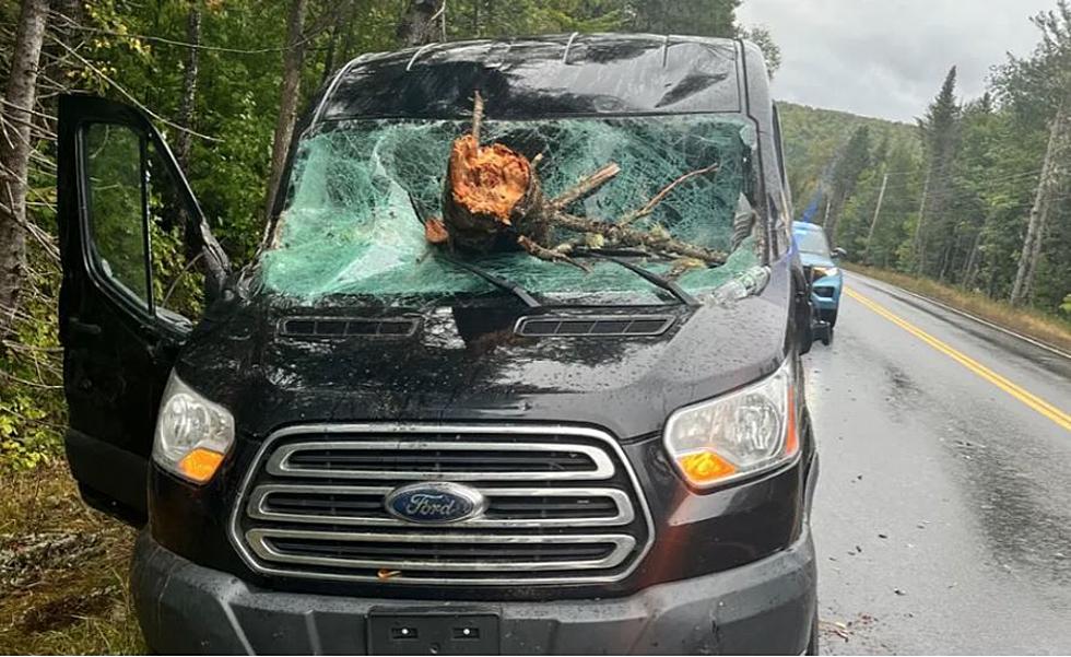 Saturday Storm in Maine Blows Massive Tree Through The Windshield of an Oncoming Van