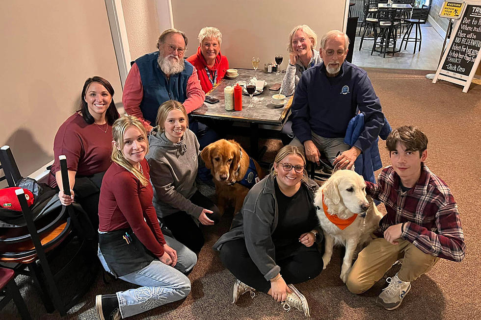 Dogs Journey Over a Thousand Miles to Bring Comfort to Maine