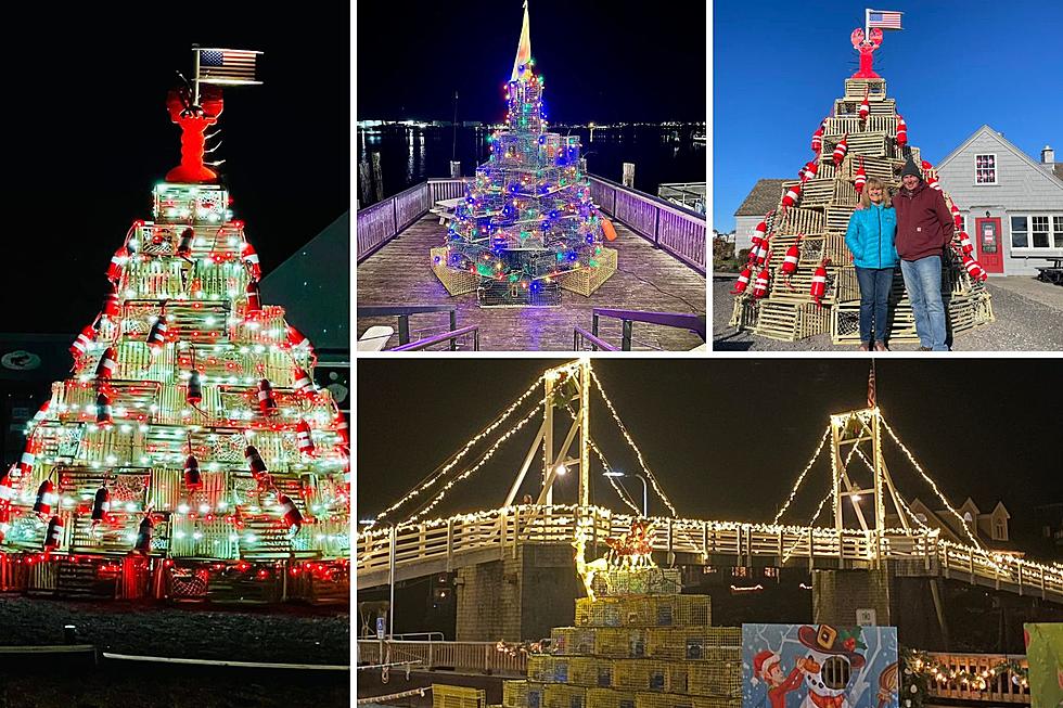 8 Epic Lobster Trap Christmas Trees in Maine for Holiday Photos
