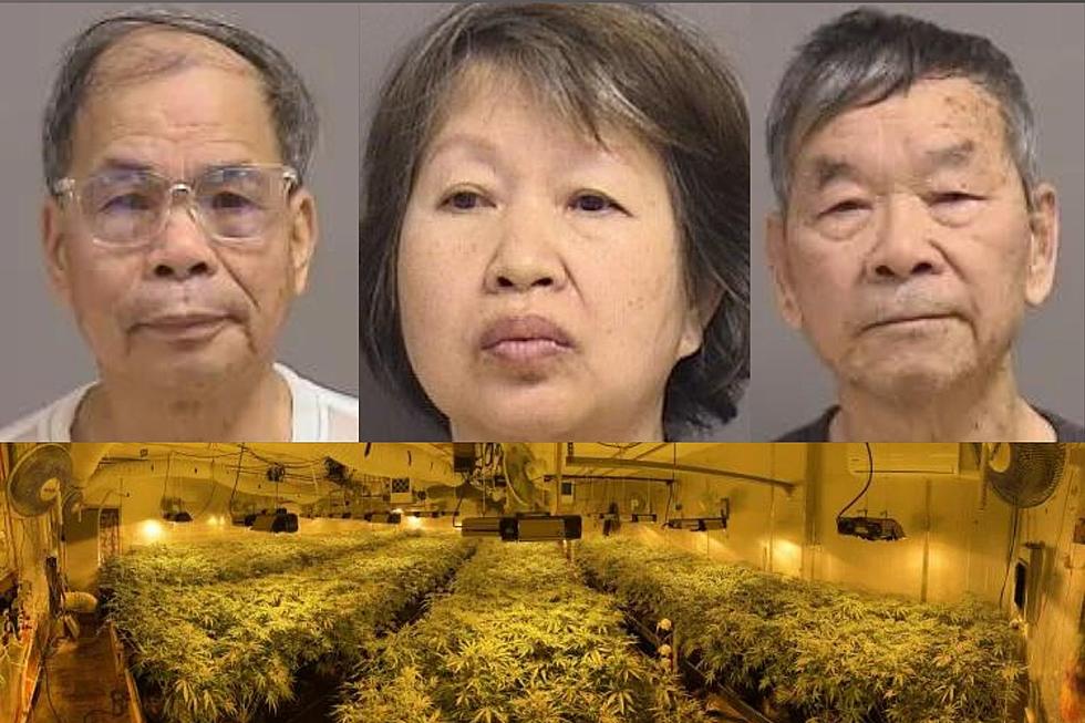 Three Arrested Following Massive Marijuana Operation Bust in Central Maine