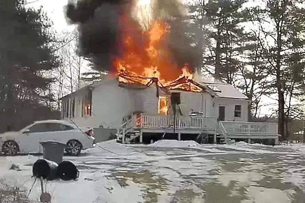 Multiple Dogs Die in Weekend House Fire in Maine