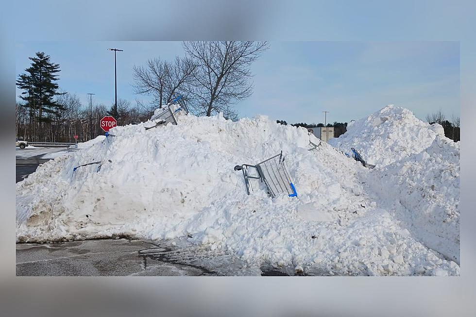 Have You Seen the Snow Bank Mountain of Shopping Carts at Walmart in Auburn?