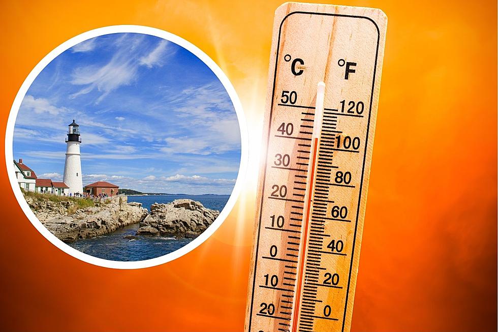The National Weather Service Just Released The Spring Temperature Outlook For Maine & It’s Wild