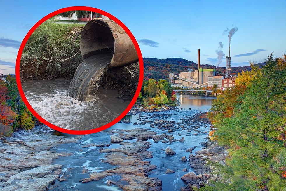 This Maine River Used to be One of The Filthiest in The Entire US