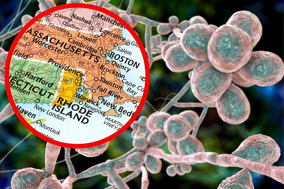 While Maine & New Hampshire Are Safe (For Now), This Deadly Fungal Infection is in Massachusetts